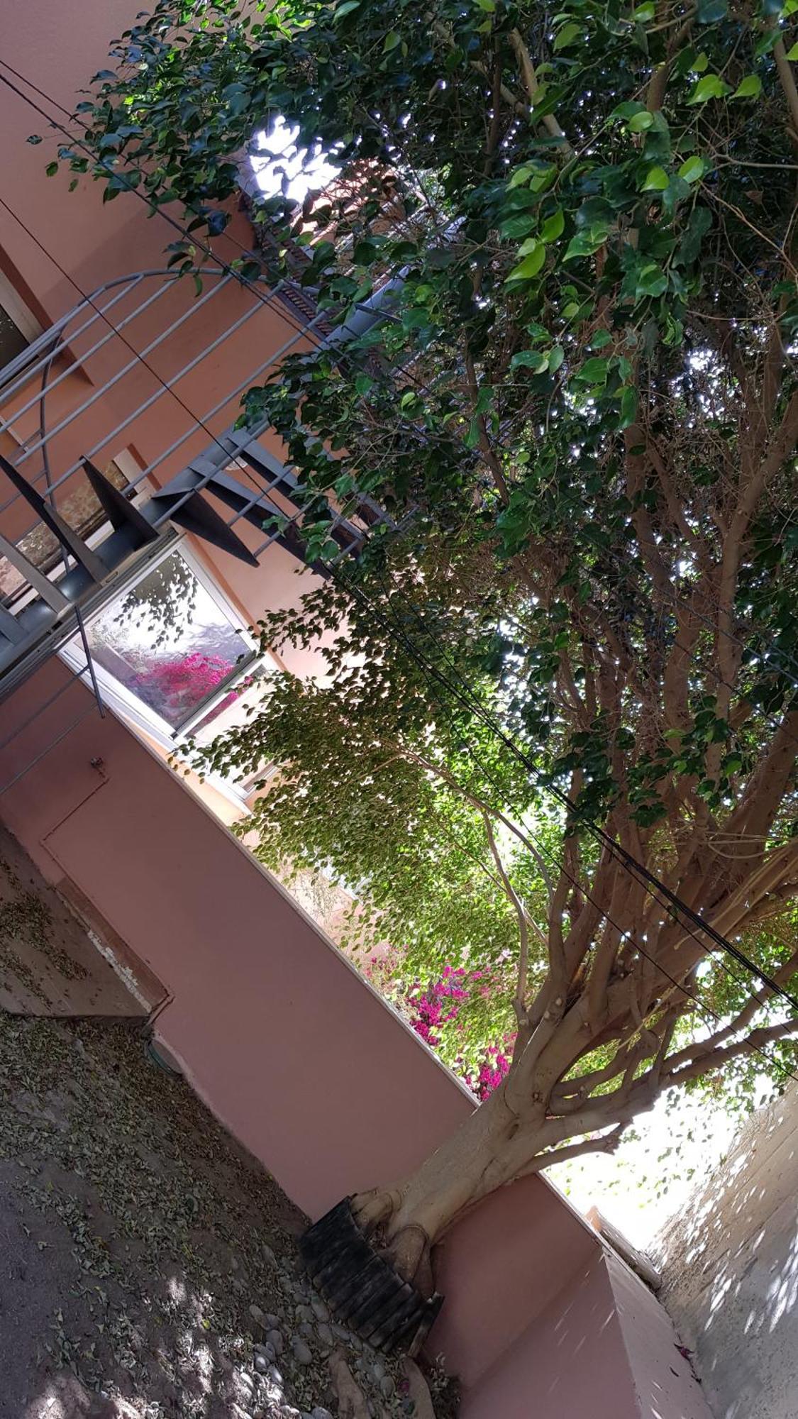 Strelitzia Park Lejlighedshotel San Miguel de Abona Værelse billede